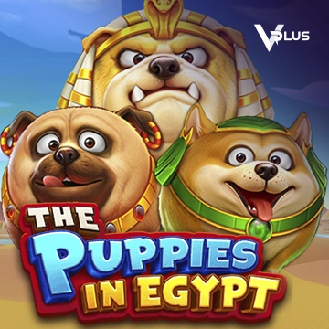 Vplus : The Puppies In Egypt - STONEBET88