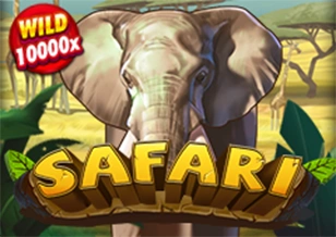 AFB : Safari - STONEBET88